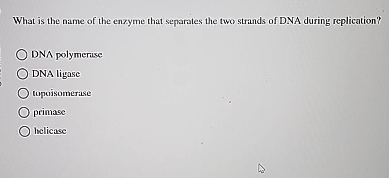 Solved What is the name of the enzyme that separates the two | Chegg.com