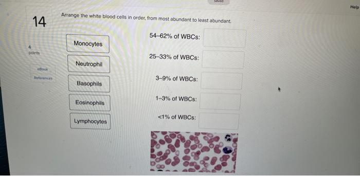 Arrange the white blood cells in order, from most abundant to least abundant.
\( 54-62 \% \) of WBCs:
\( 25-33 \% \) of WBCs: