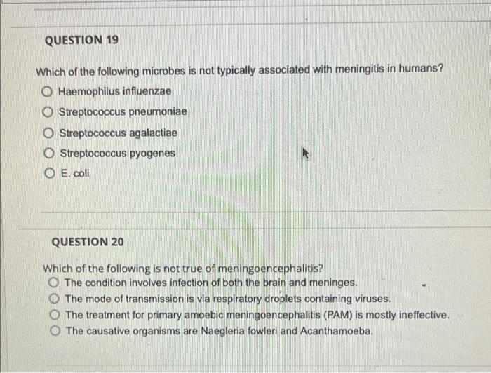 Question 19 Which Of The Following Microbes Is Not | Chegg.com