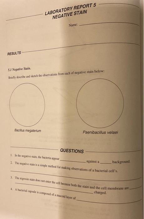 Solved 5.I Negative Stain. Briefly describe and sketch the | Chegg.com