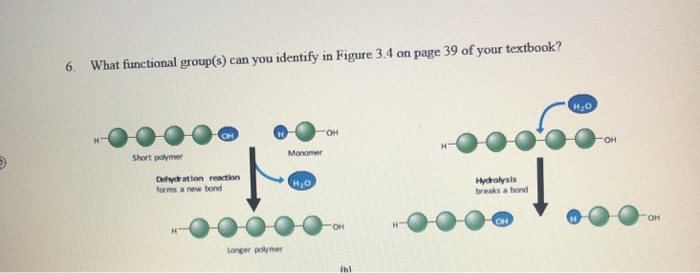 Solved 6. What Functional Group(s) Can You Identify In | Chegg.com