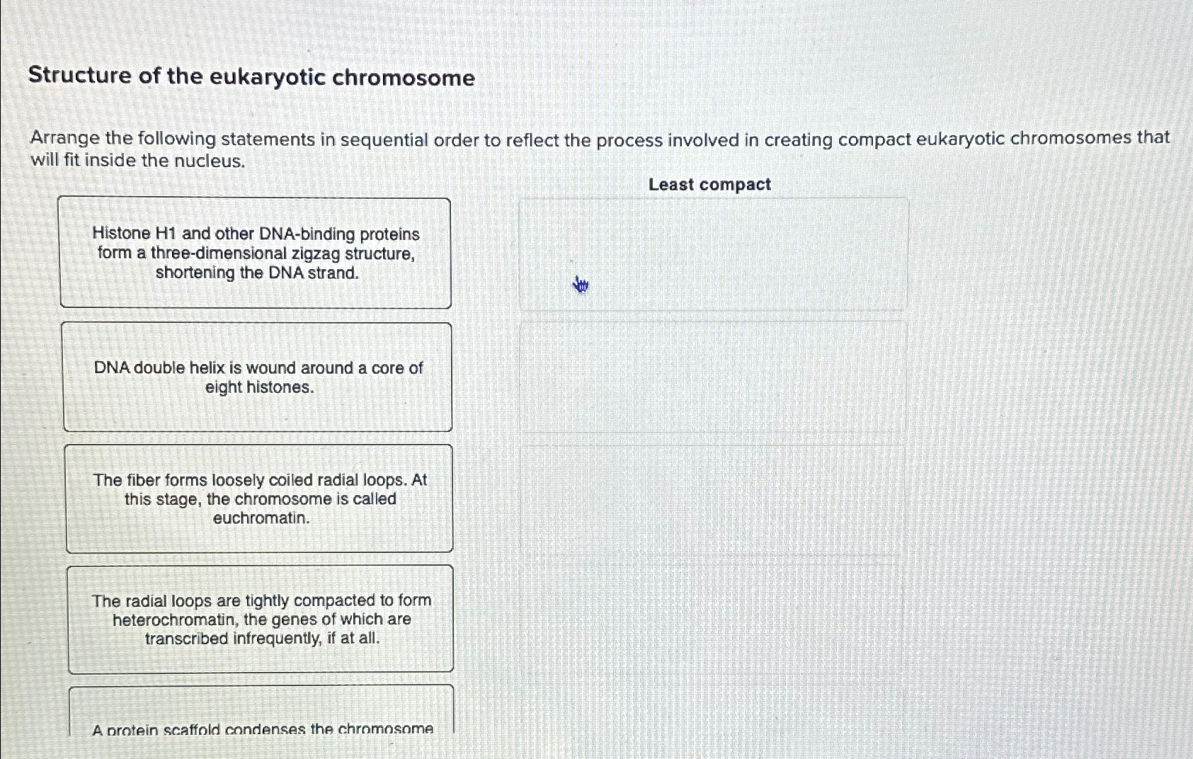 Solved Structure of the eukaryotic chromosomeArrange the | Chegg.com