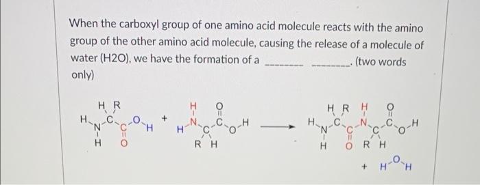 Solved When the carboxyl group of one amino acid molecule | Chegg.com