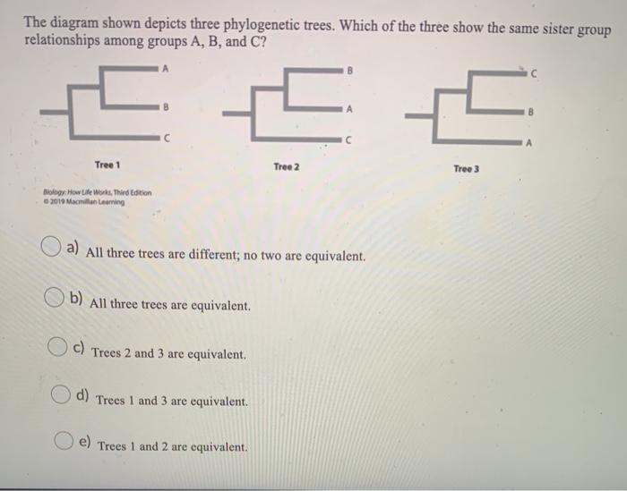 Solved The diagram shown depicts three phylogenetic trees. | Chegg.com