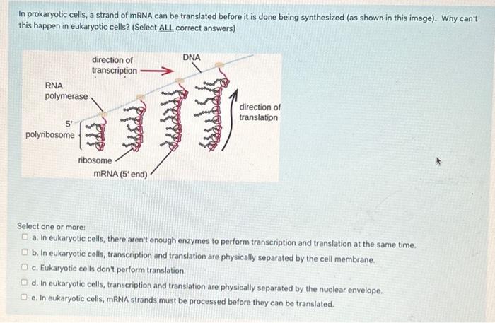Solved Indicate the type of horizontal gene transfer shown | Chegg.com