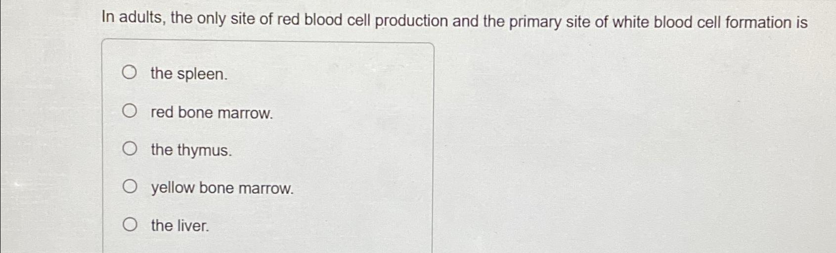 Solved In adults the only site of red blood cell production