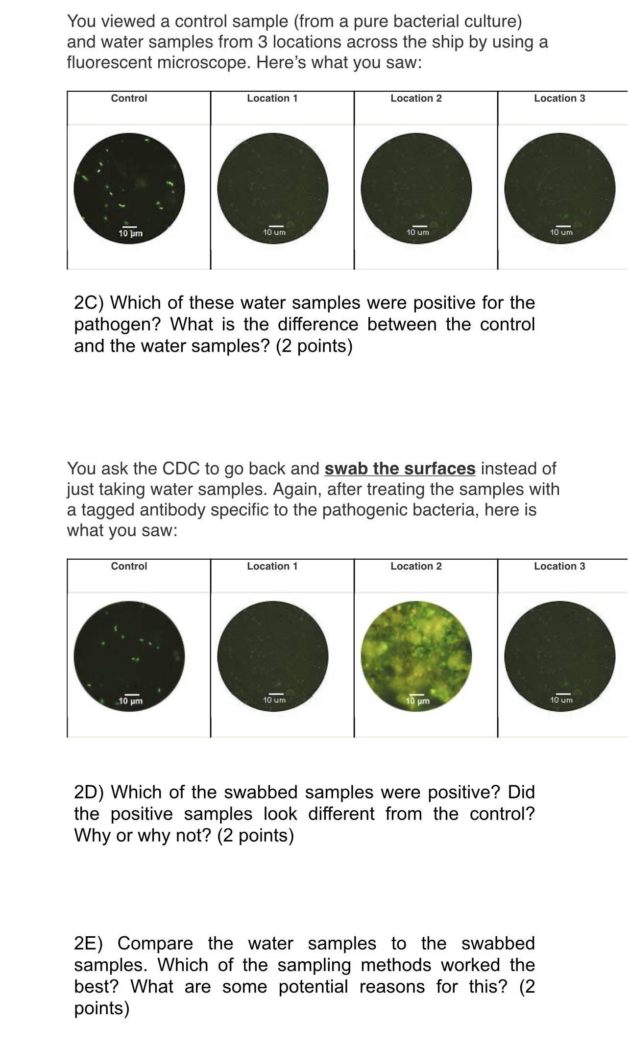 Solved You viewed a control sample (from a pure bacterial | Chegg.com
