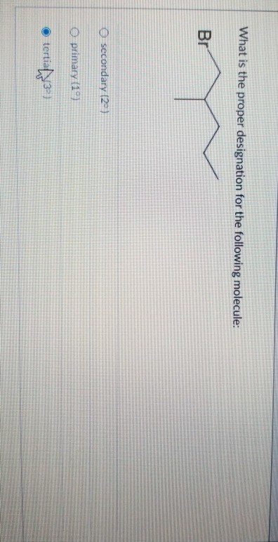 Solved What Is The Proper Designation For The Following Chegg Com