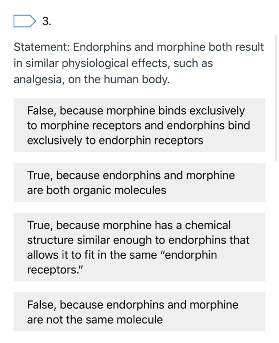 endorphin receptors
