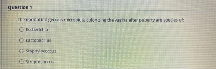 Solved Question 1 The normal indigenous microbiota | Chegg.com