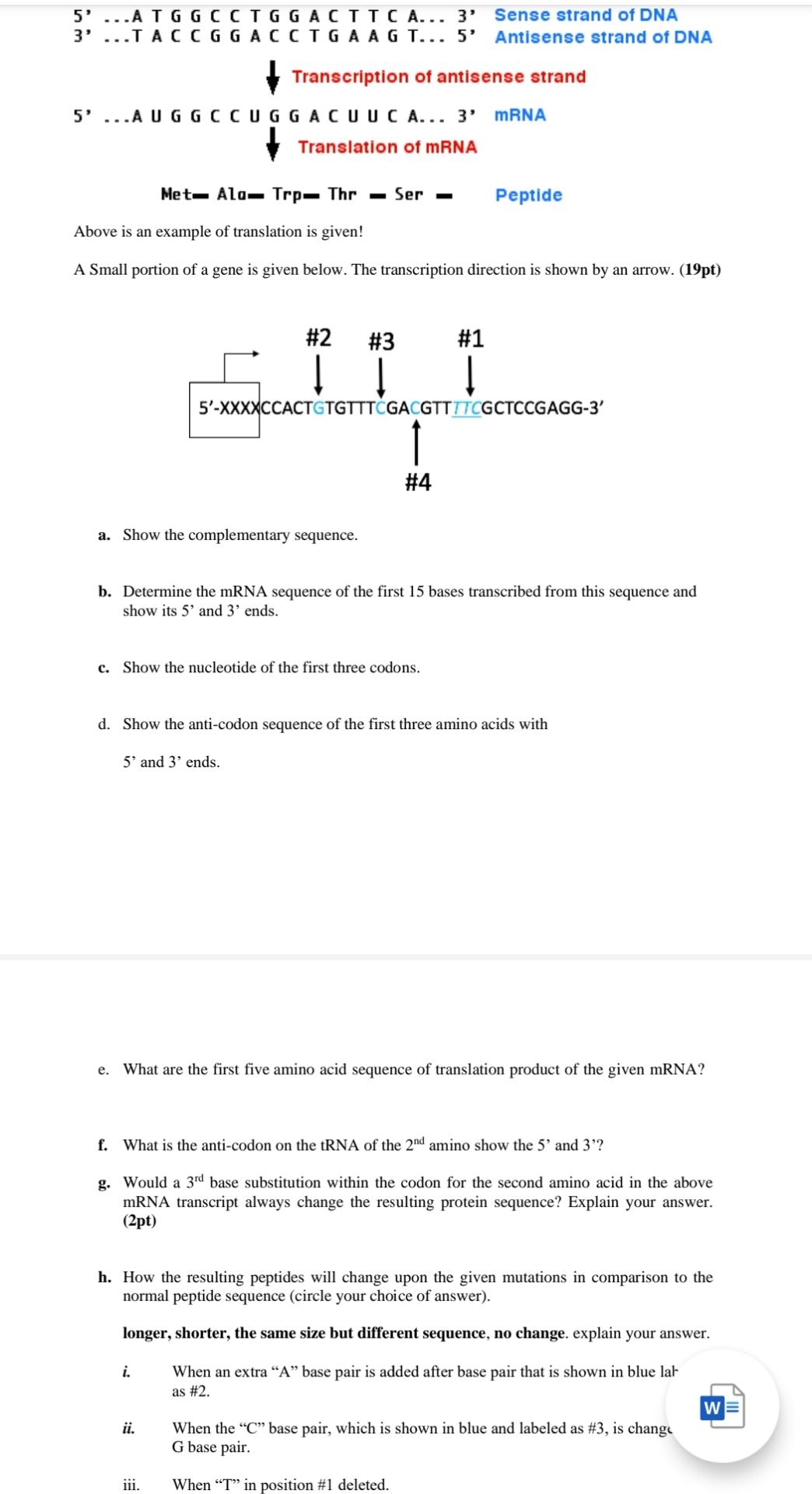 Solved 5' ... ﻿A T G G C C T G G A C T T C A... 3' ﻿Sense | Chegg.com