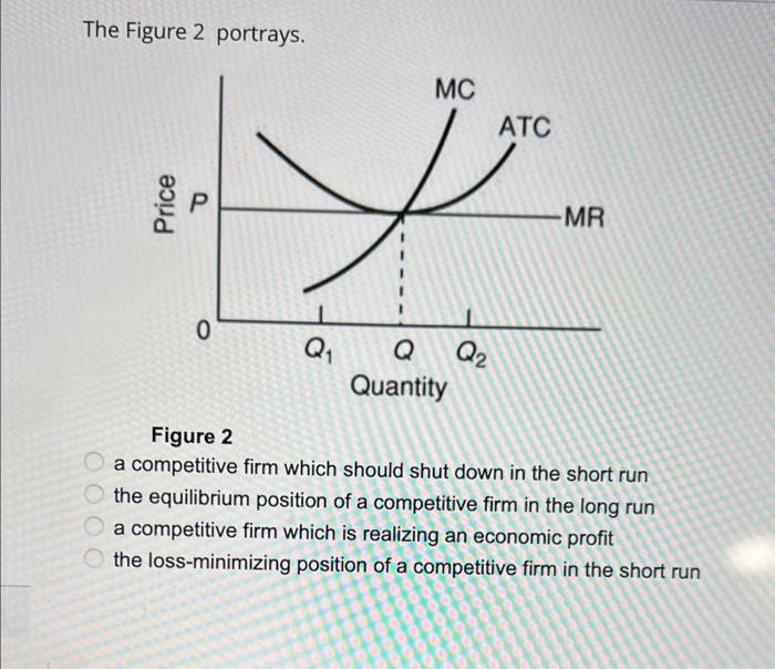 Solved The Figure 2 portrays. Figure 2 a competitive firm | Chegg.com