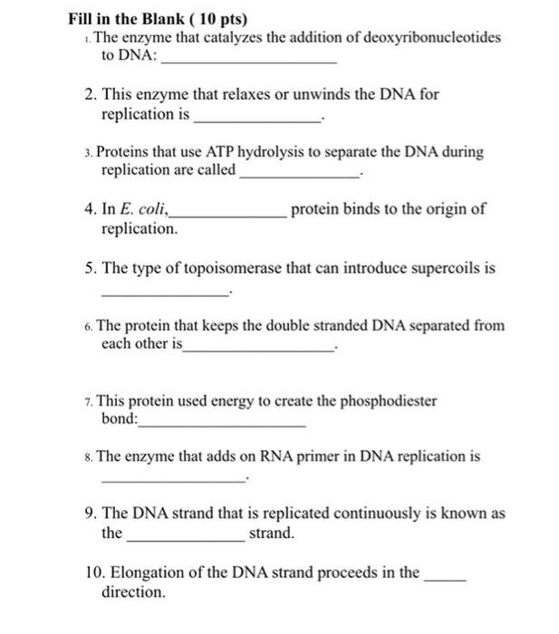 Solved Fill in the Blank ( 10 pts) 1. The enzyme that | Chegg.com