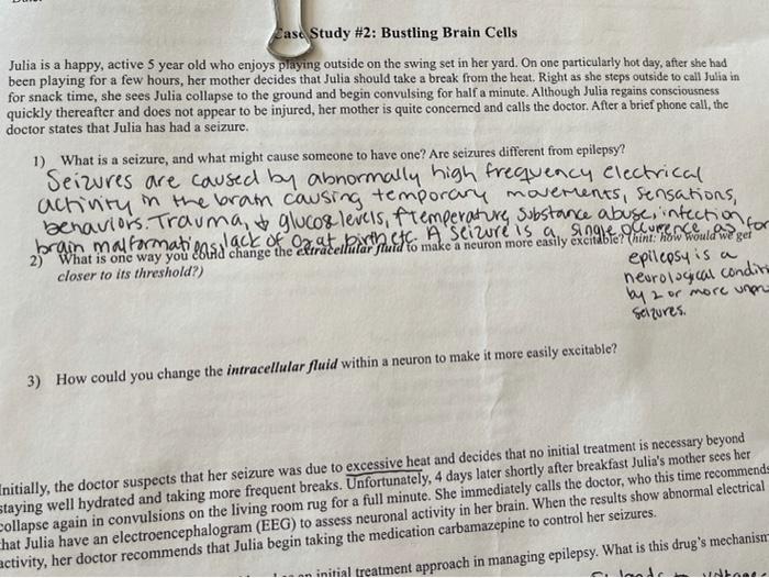 Julia and maria case study 06 picture