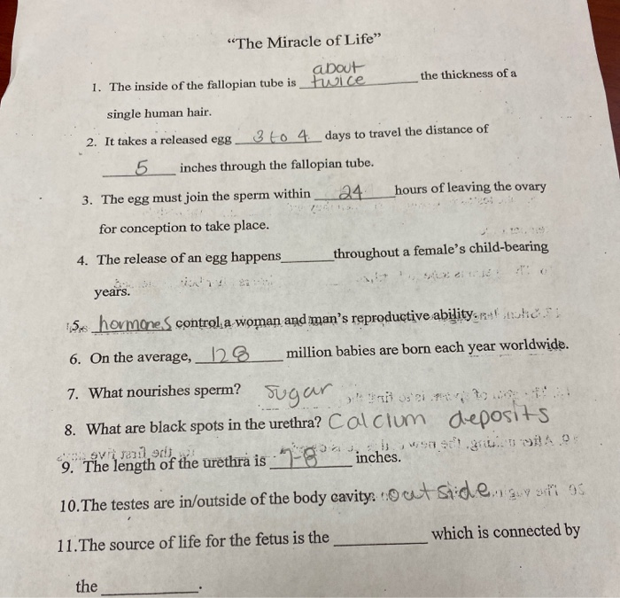 Solved The Miracle Of Life About Twice The Thickness Of
