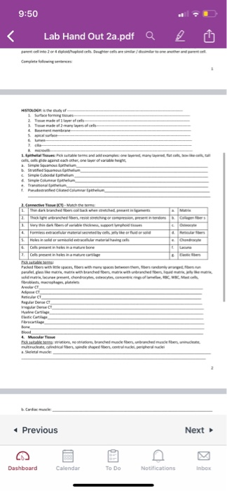 9 50 Lab Hand Out 2a Pdf Q Lab Handout 2 Cell And Chegg  9 50 Lab Hand Out 2a Pdf Q Lab Handout 2 Cell And Chegg