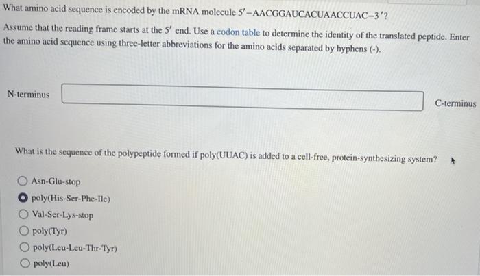 Solved What amino acid sequence is encoded by the mRNA | Chegg.com