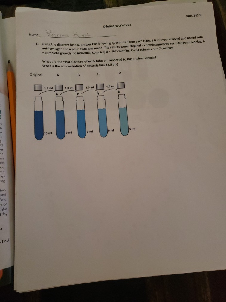 Solved BIOL 2420L Dilution Worksheet ol Name Patrina tunt G