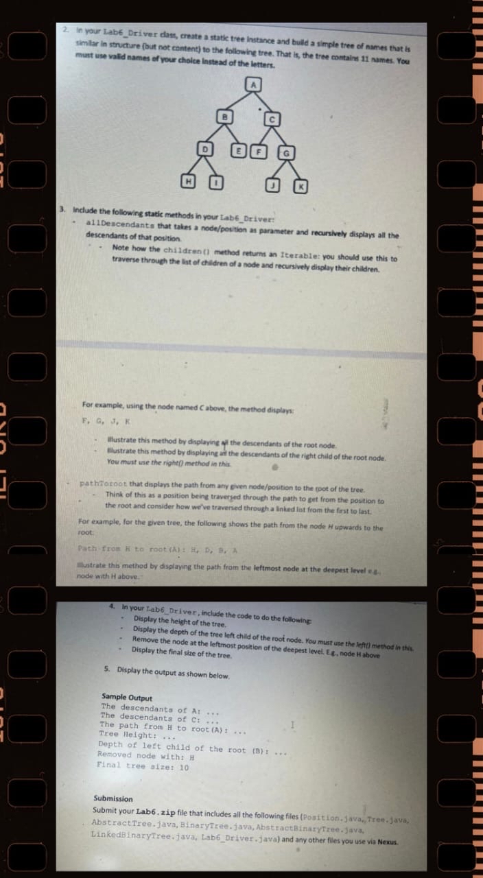 Solved In your Lab6_Driver dass, create a static tree | Chegg.com