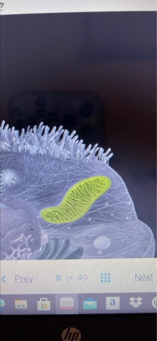 Solved Prey 18 of 49 29 Next a hp | Chegg.com