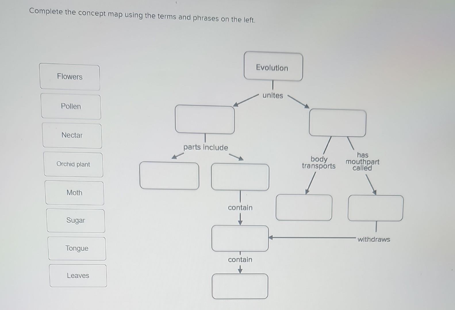 solved-complete-the-concept-map-using-the-terms-and-phrases-chegg