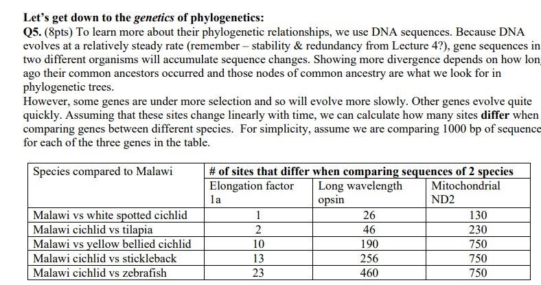 Let's get down to the genetics of | Chegg.com