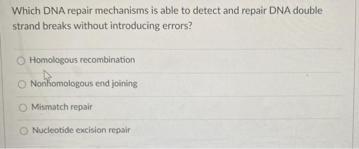 Solved Which DNA repair mechanisms is able to detect and | Chegg.com
