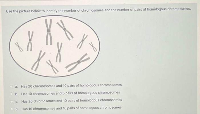 Solved Use the picture below to identify the number of | Chegg.com