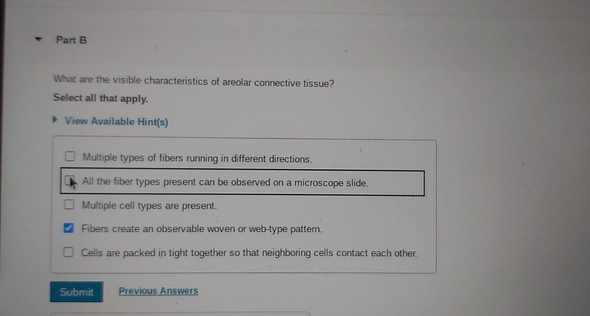 What Are Visible Characteristics Of Areolar Connective Tissue