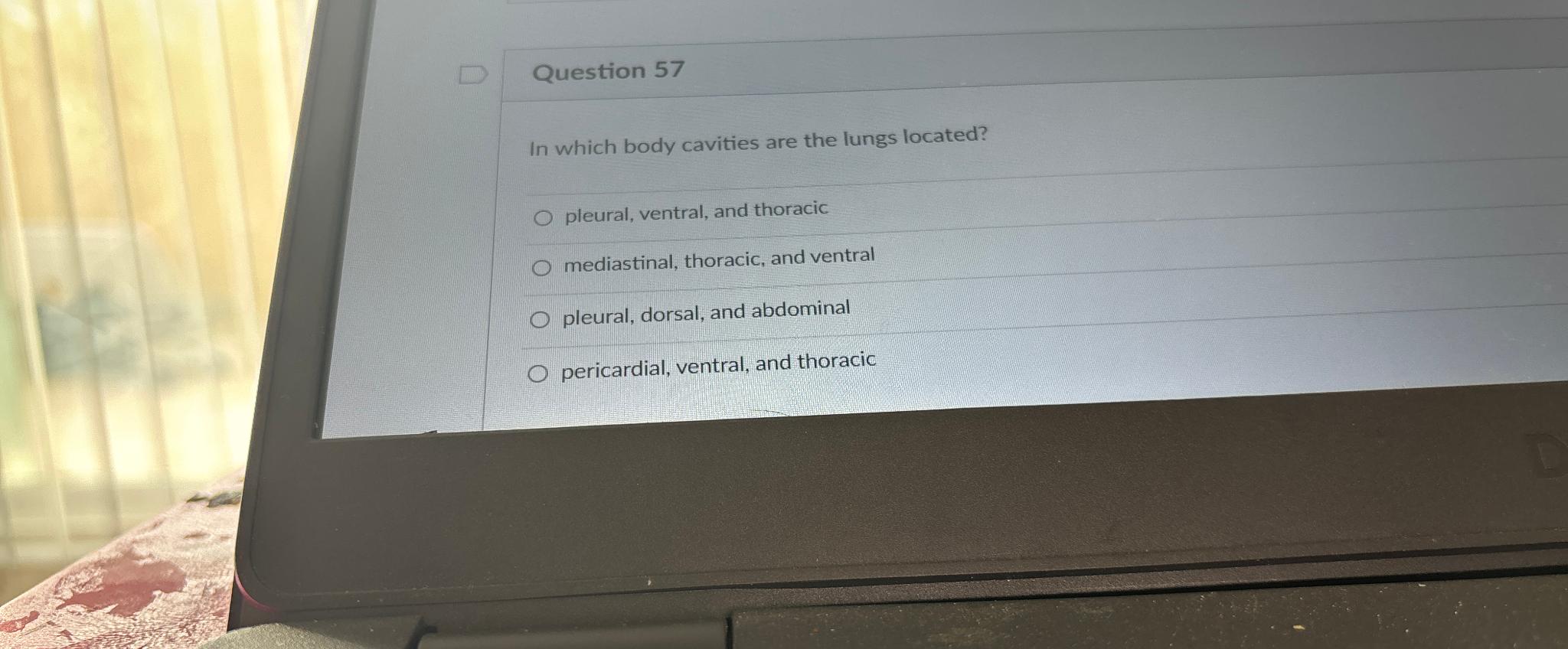 solved-question-57in-which-body-cavities-are-the-lungs-chegg