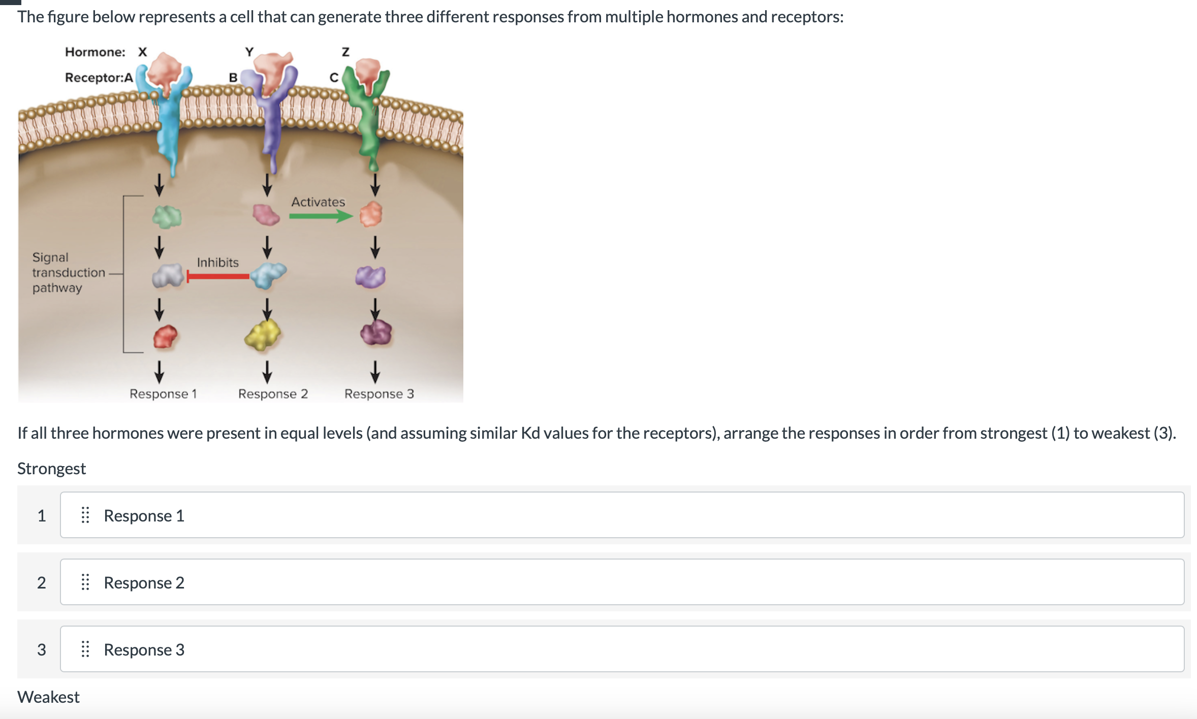 Solved The figure below represents a cell that can generate | Chegg.com