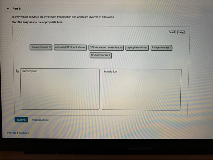 Solved Part B Identity which enzymes are involved in