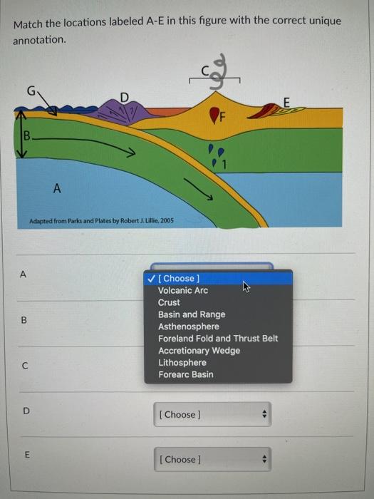Solved Match the locations labeled A-E in this figure with | Chegg.com