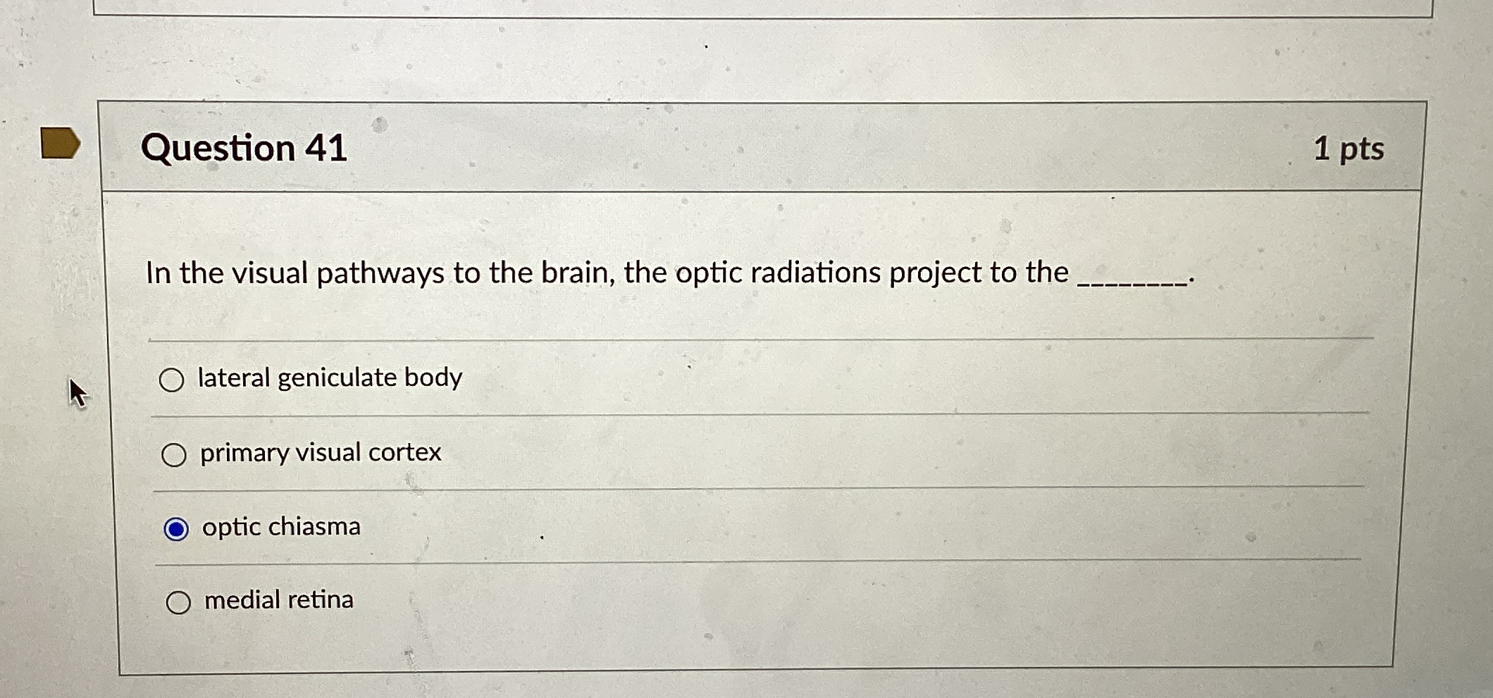 Solved Question 411ptsIn the visual pathways to the brain, | Chegg.com