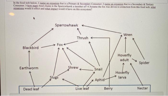 Solved In the food web below, 1-name an organism that is a | Chegg.com