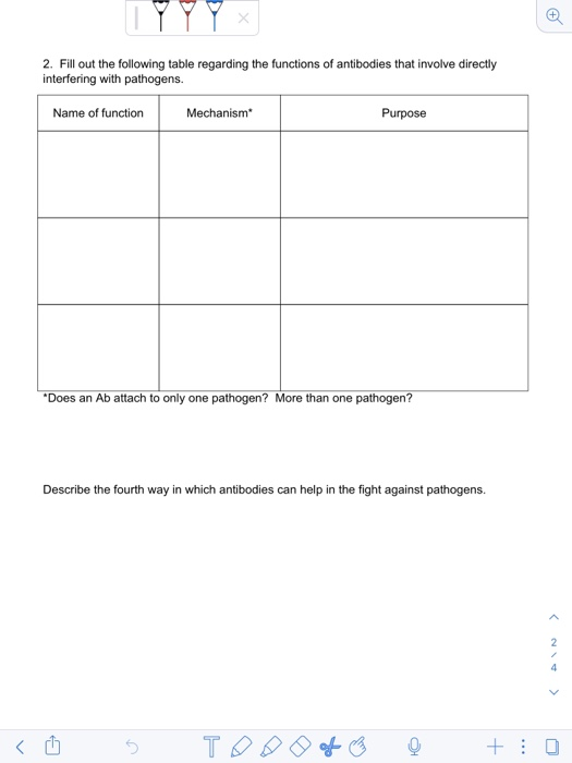 Solved + Immune System Worksheet B Cells Helper T Cells Bone 