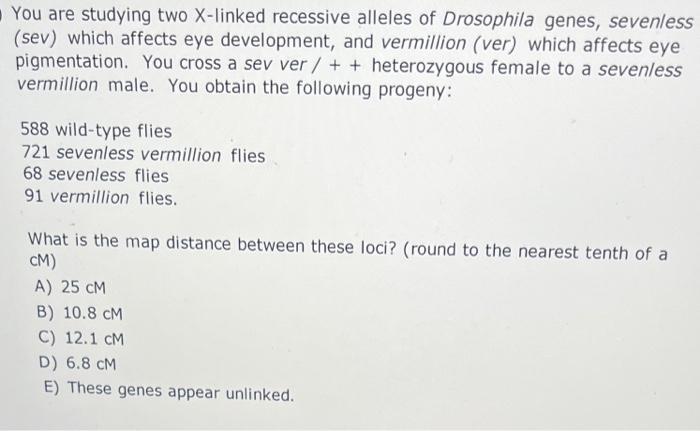 Solved You are studying two X-linked recessive alleles of | Chegg.com