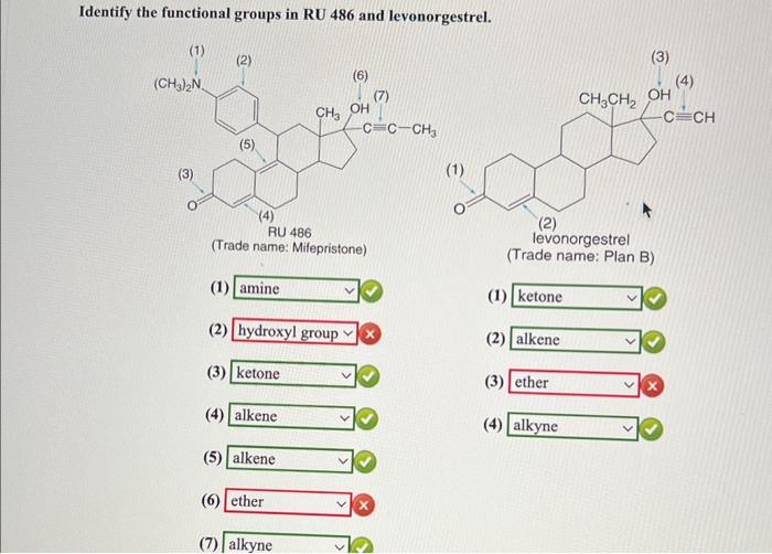 Identify the functional groups in RU 486 and levonorgestrel.