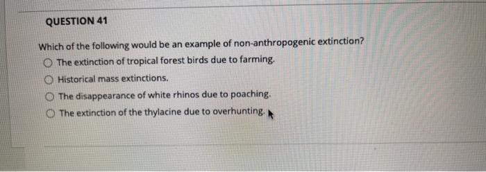 Solved QUESTION 41 Which of the following would be an | Chegg.com