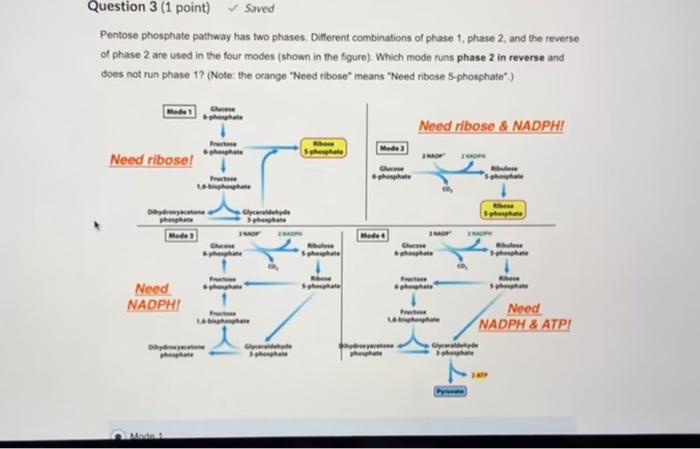 Solved Pentose phosphate pathway has two phases. Different | Chegg.com