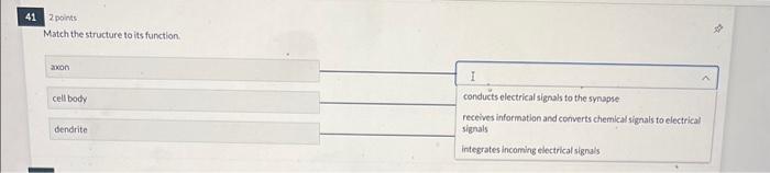 Solved Match the structure to its function. | Chegg.com