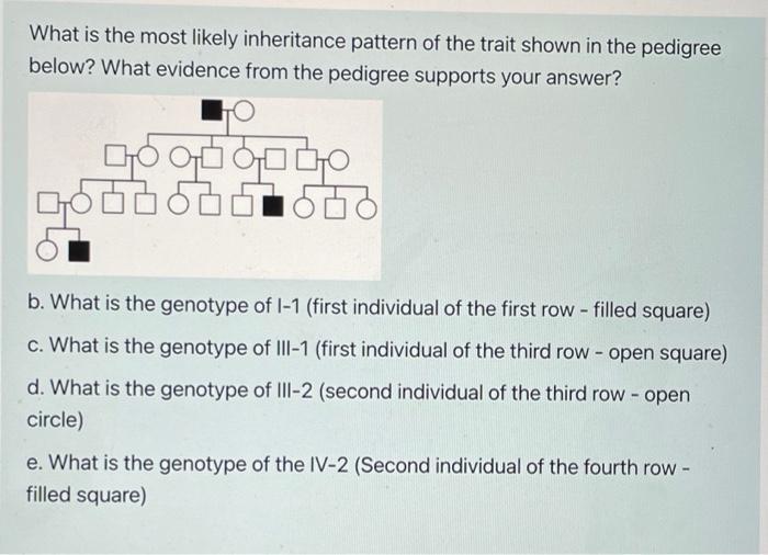 Solved What is the most likely inheritance pattern of the | Chegg.com