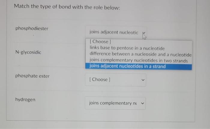 Solved Match the type of bond with the role below: | Chegg.com