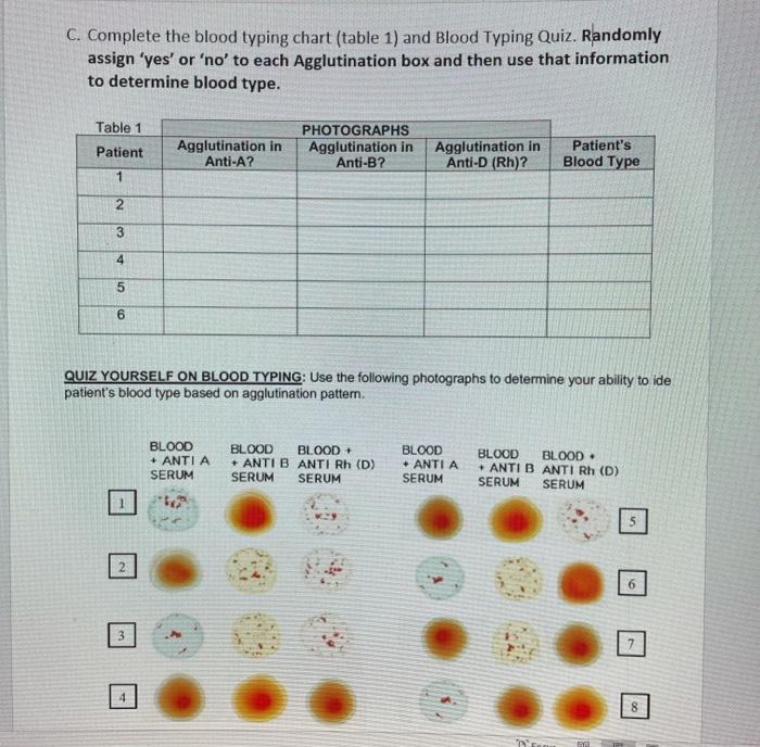 solved-c-complete-the-blood-typing-chart-table-1-and-chegg