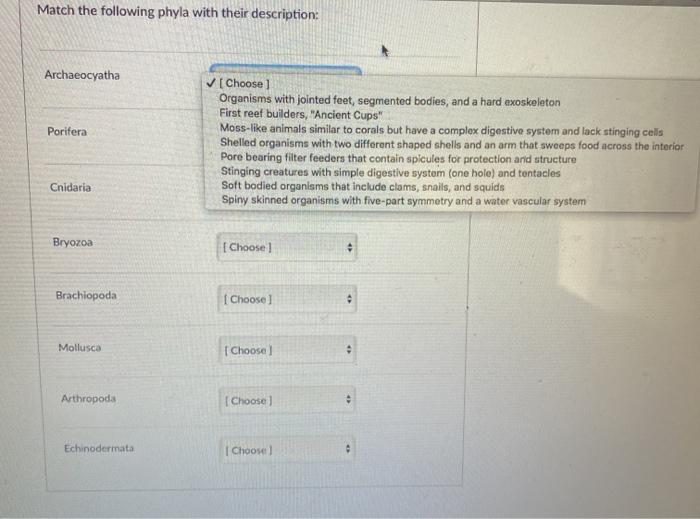 Solved Match the following phyla with their description: | Chegg.com