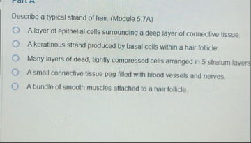 Solved Describe a typical strand of hair. (Module 5.7A)A | Chegg.com