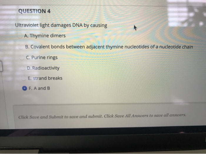 Solved QUESTION 4 Ultraviolet light damages DNA by causing | Chegg.com