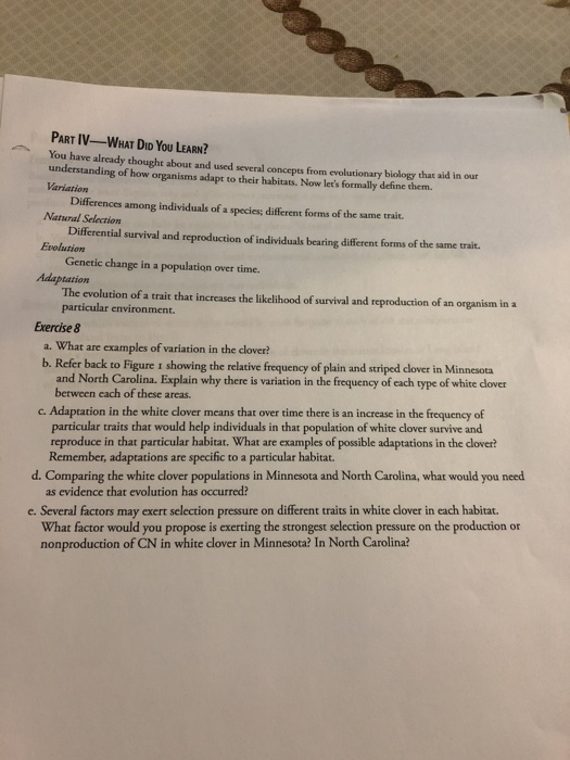 I'm looking over a white-striped clover answer key exercise 11 image