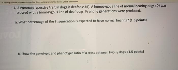 what percentage of dogs are deaf