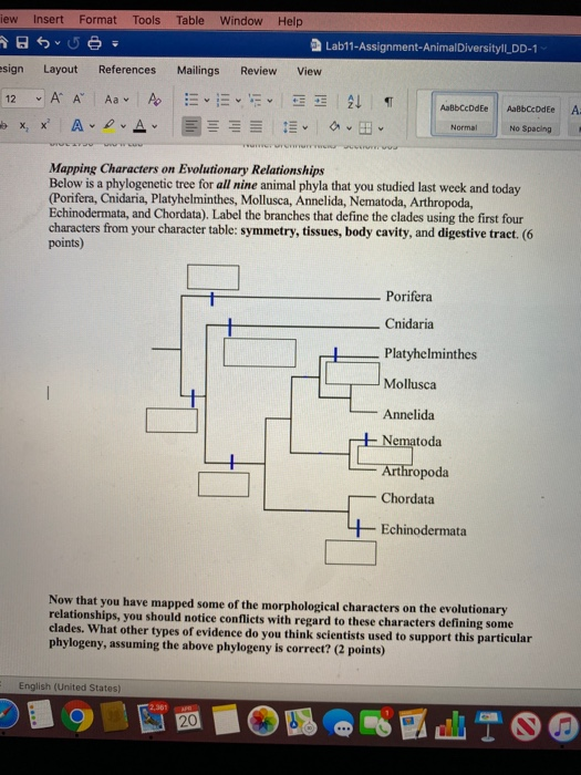 Solved Below is a phylogenetic tree for all nine animal 